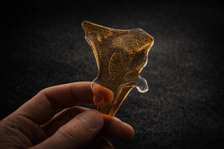 Handheld fused glass fragment with amber tones in natural light